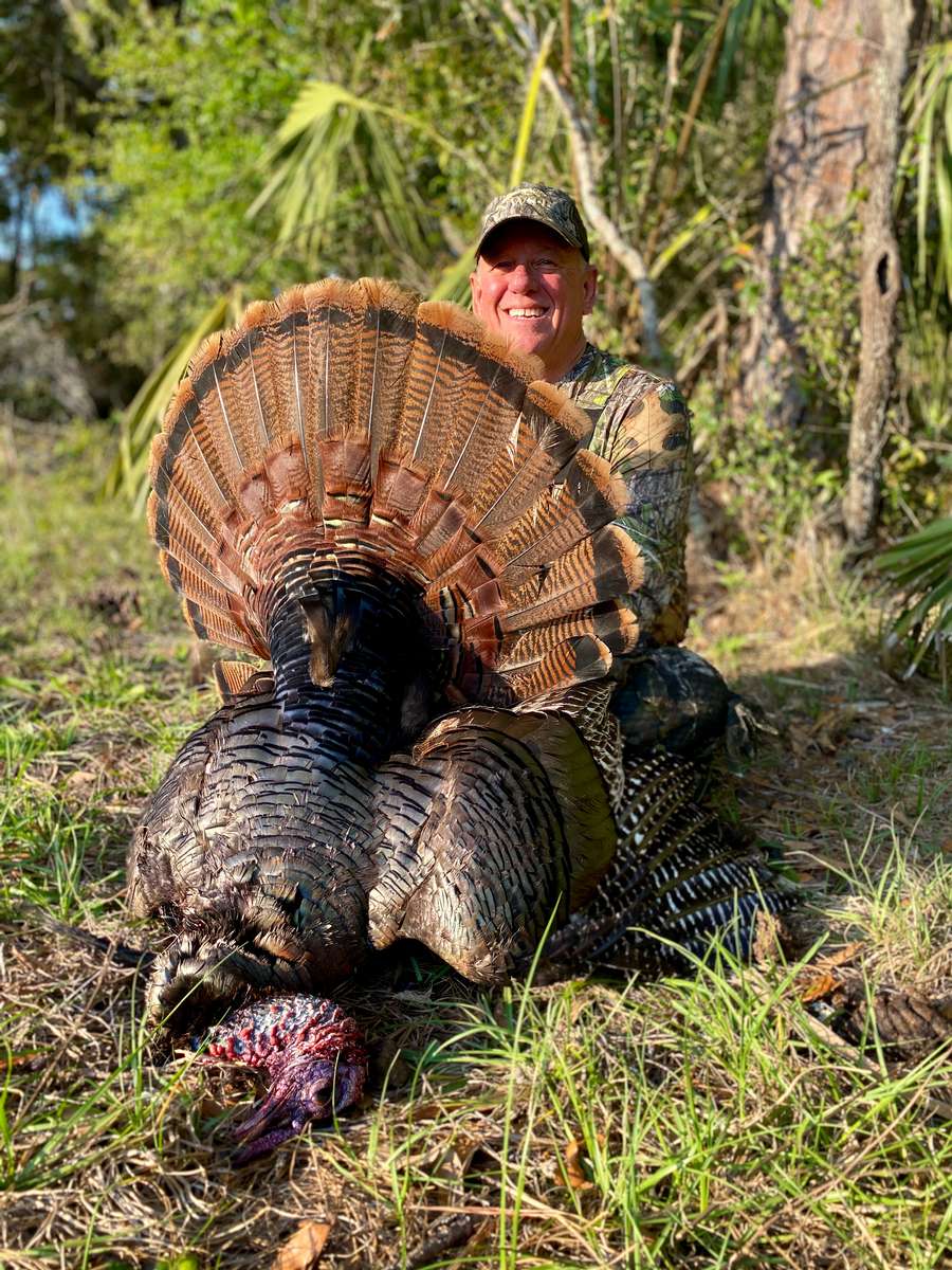 Florida Osceola Turkey Hunts Black Tine Outfitters LLC